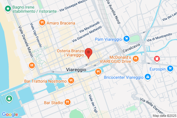 Nuova Versilia (S.R.L.)
