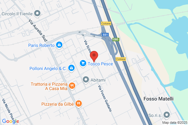 Officina D. F. S.