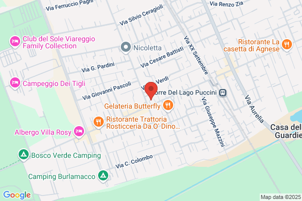 Versilia Centro Congressi Principe Di Piemonte
