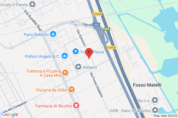 Plexidea Di Bonuccelli Idalgo & C.