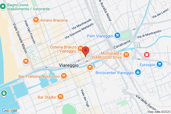 Partito Democratico Della Sinistra