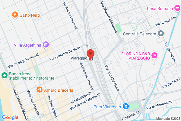 Radiotaxi Viareggio Co.Ve.Tax