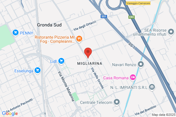 Punto Pizza Di Miglino F.& C. Snc
