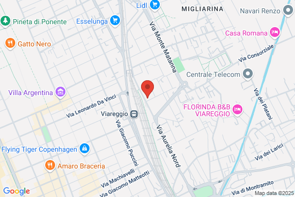Tp Cestari E Benedetti Srl