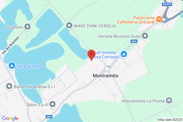 Zona Viareggio
