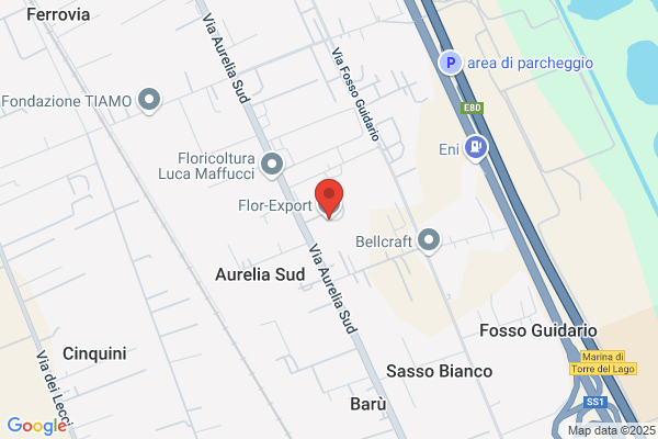 Cooperativa Agricola Flor Export
