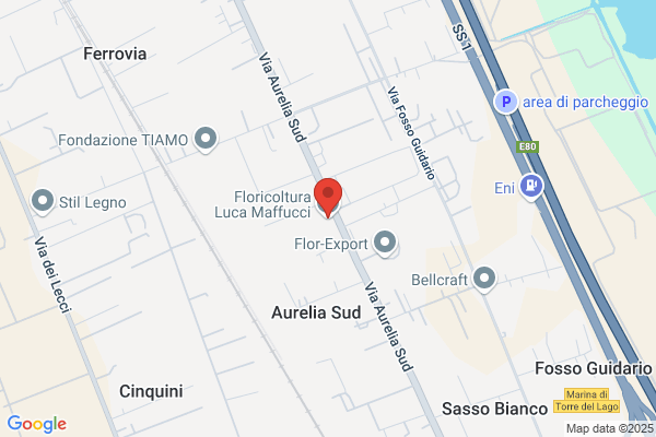 Maffucci luca