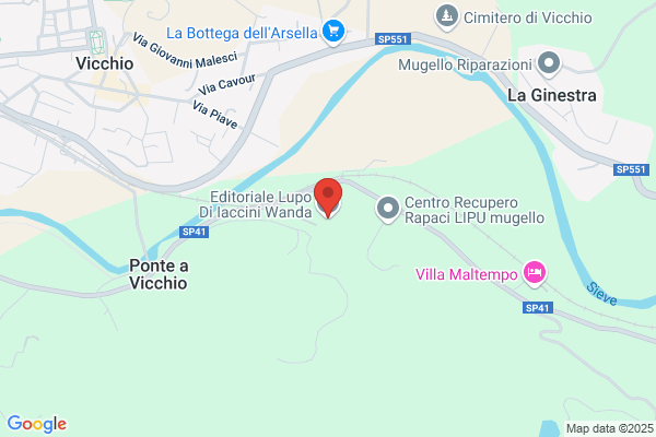 Editoriale Lupo Di Iaccini Wanda