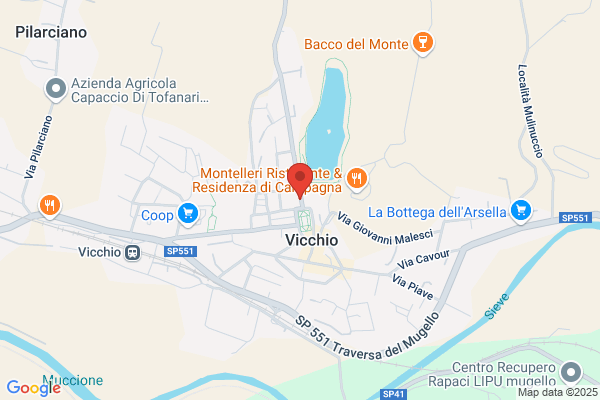 Serena Argenti Srl