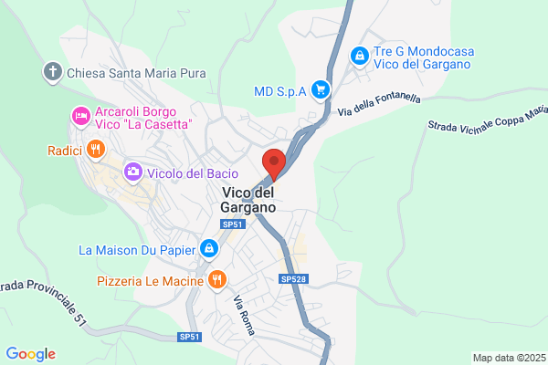 Scirpoli tommasa (Dr.)