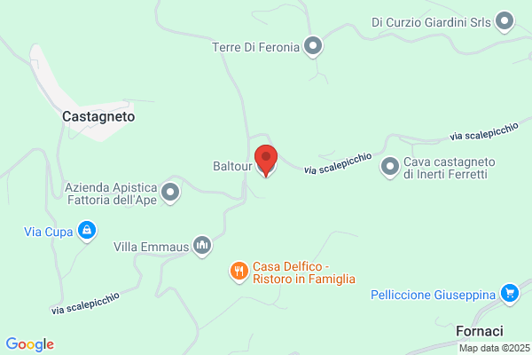 Baltur Viaggi Srl