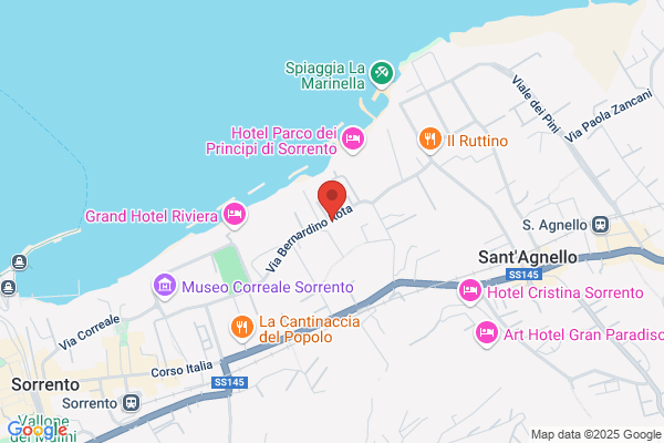 Miraglia Del Giudice maurizio (Prof.)