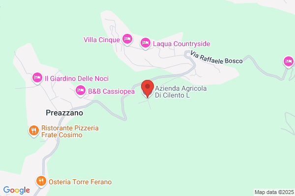 Cilento Antonino