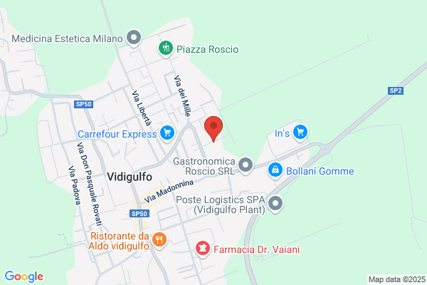 Spina vinicio