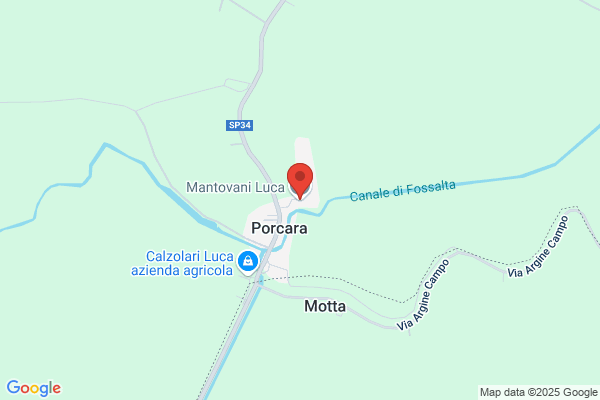 Mantovani luca
