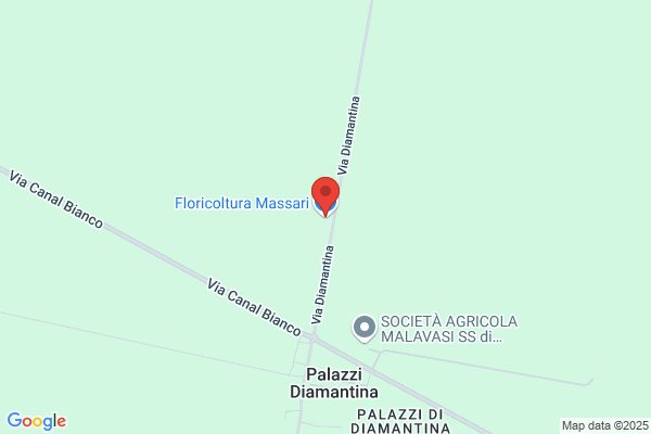 Massari gianni