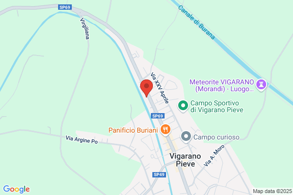 Paratelli bruno