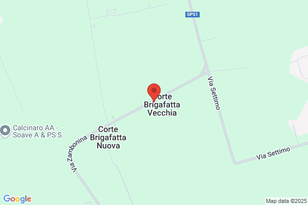 Mirandola faustino