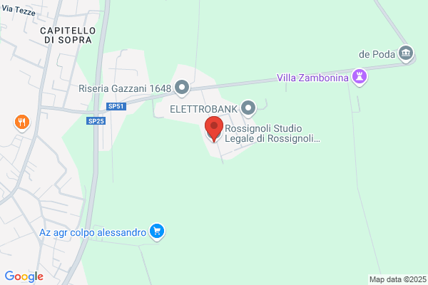Rossignoli fulvio