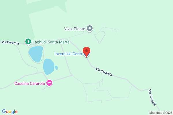 Invernizzi Carlo