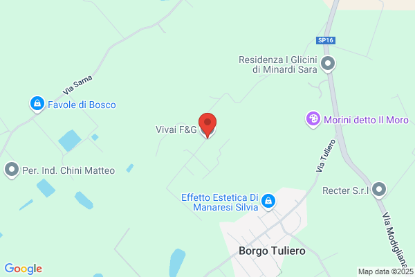 Vivaio Monica Di Finesso Guerrino