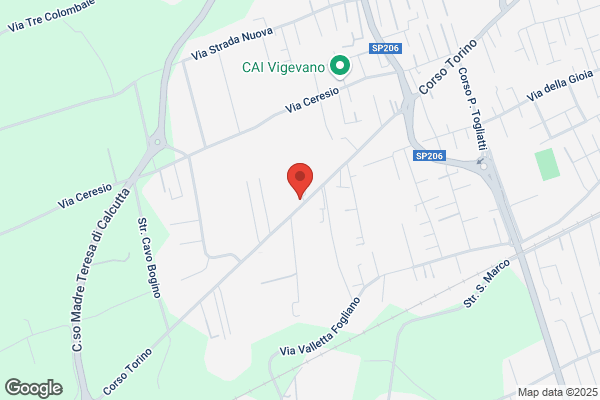Magazzini Generali Viscontei Di Vigevano (S.P.A.)