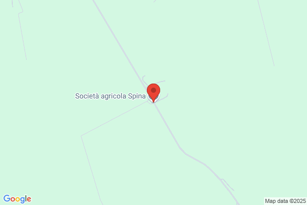 Spina mario