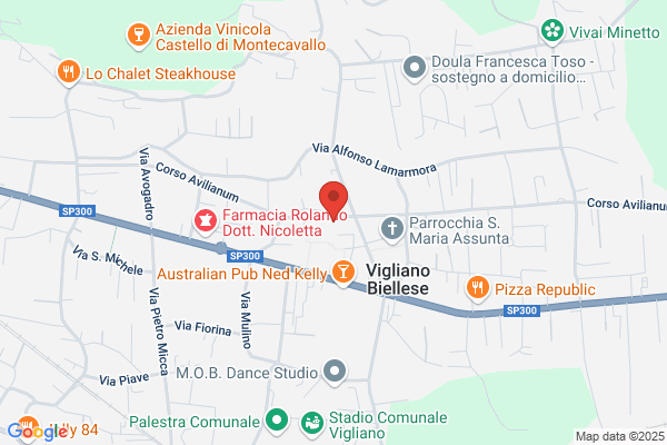 Il Trenino Di Fanti Monica