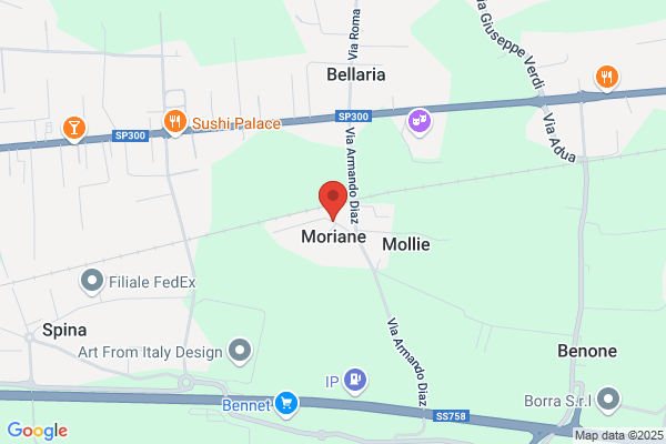 Lometto giorgio