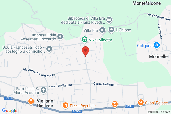 Vialardi massimo
