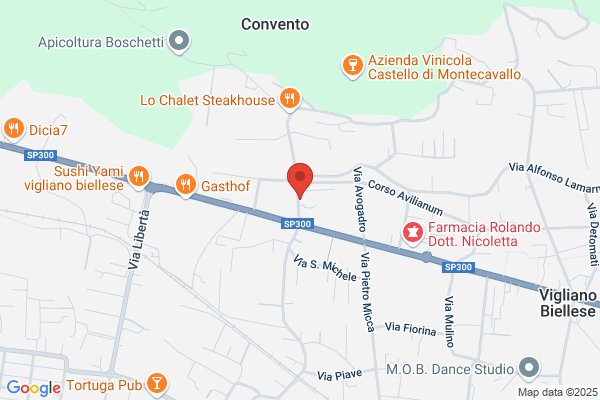 Ambulatorio Veterinario Piccoli Animali Srl