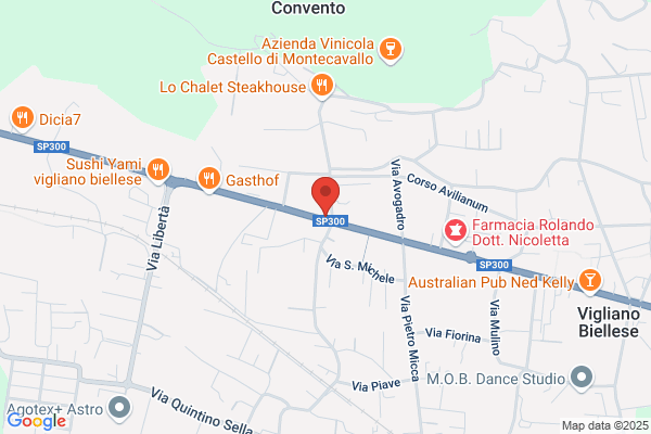 Centro Piemonte Servizi Srl