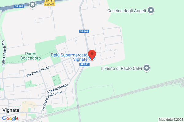 Dpiù Supermercato Vignate