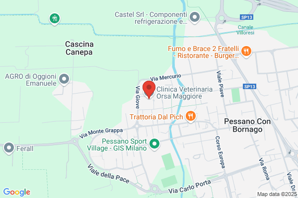 Clinica Veterinaria Orsa Maggiore