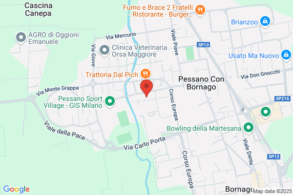 Balconi Dott.ssa Elisa