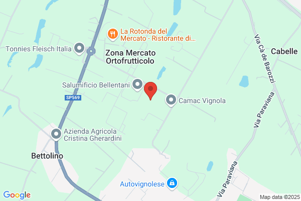 Soccodato dino