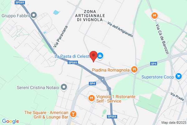 Gozzoli Rappresentanze Di Gozzoli Ruggero E C. sas