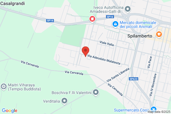 Nemo Srl Subagenzia di Spilamberto