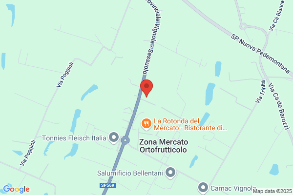 Tecnoelettra Impianti (S.R.L.)