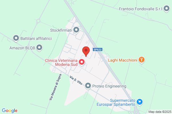 M.G.F. Impianti S.R.L.