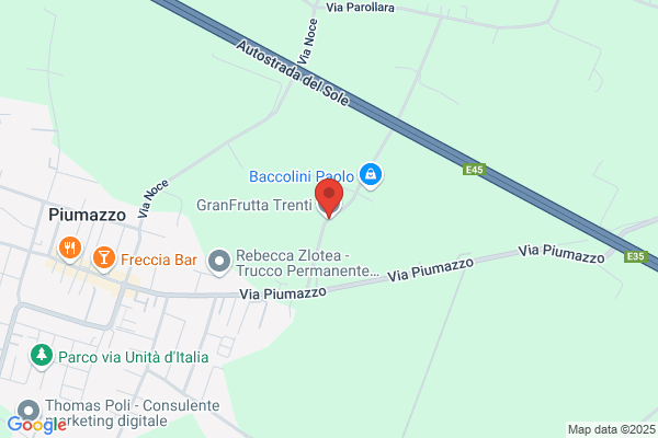 Trenti Fruit Srl