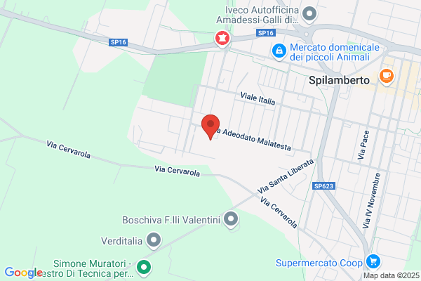 Pizzeria Nuova Leopardi