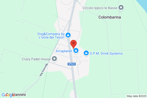 Morsa angelo