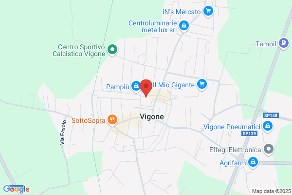 La Vigoneisa