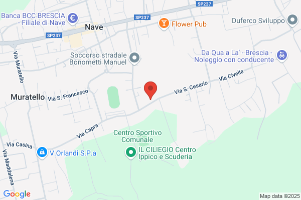 Gnutti Sebastiano & Figli (S.P.A.)