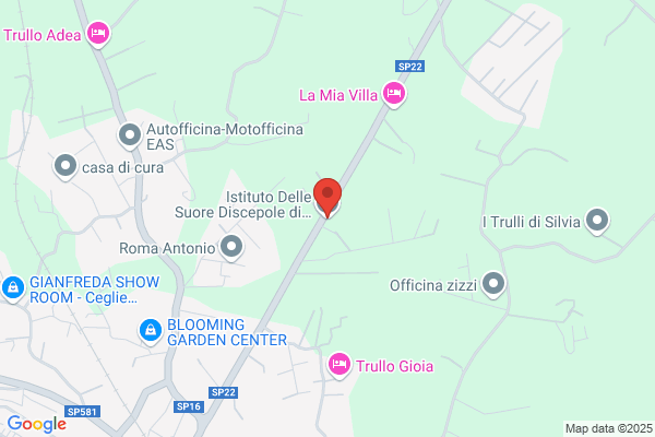 Istituto Religioso Suore Discepole Di Gesu Eucaristico
