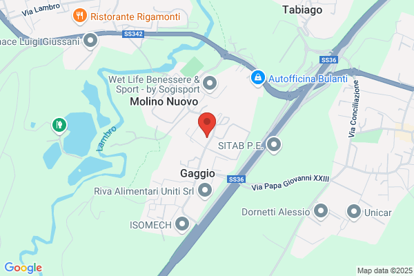 Fumagalli Carmine Paola