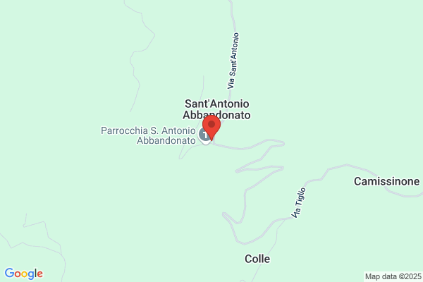 Sonzogni antonio
