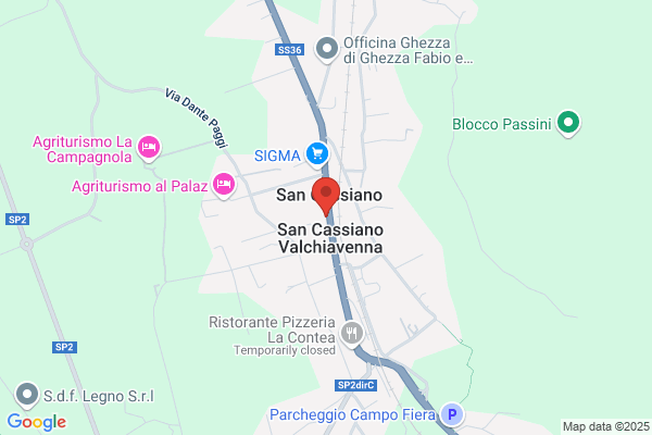 Tam enzo
