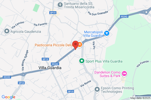 Spolidoro nicola (Dr.)